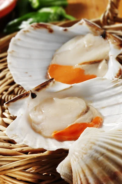 Fresh scallops — Stock Photo, Image