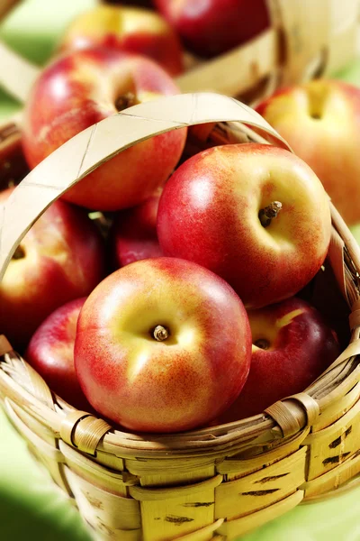 Nectarines dans le panier — Photo