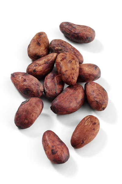 Cocoa beans — Stock Photo, Image