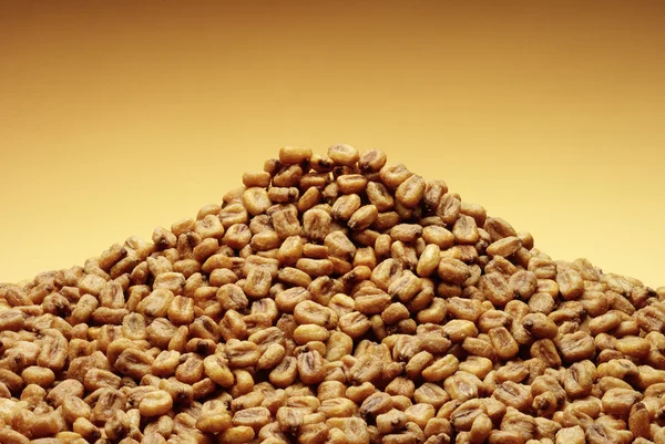 Roasted corn kernels — Stock Photo, Image