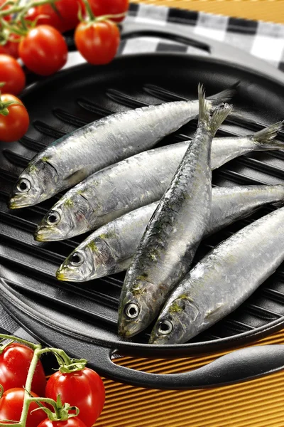 Fresh sardines — Stock Photo, Image