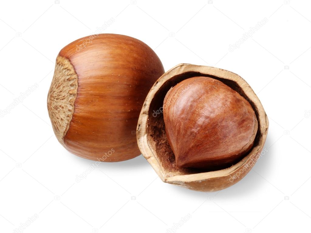 hazelnuts isolated