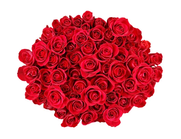 Bunch de rosas vermelhas — Fotografia de Stock