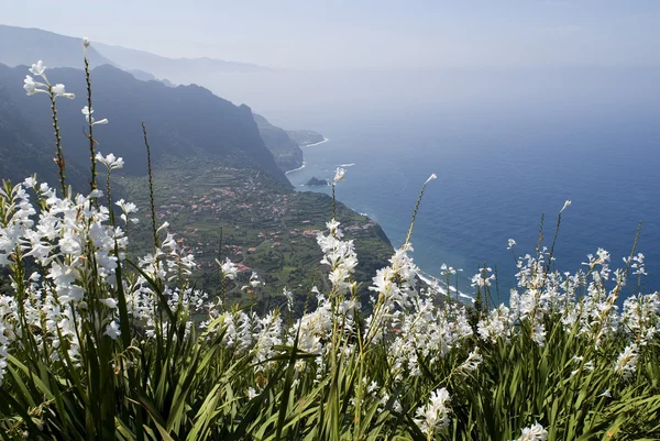 Ostrov Madeira — Stock fotografie