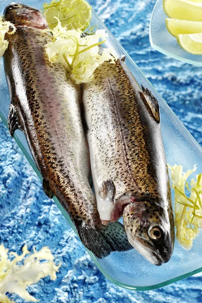 Raw trouts — Stock Photo, Image