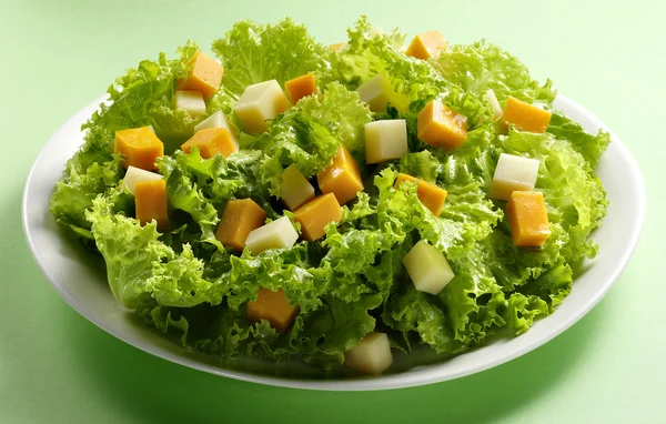 Kaas salade — Stockfoto