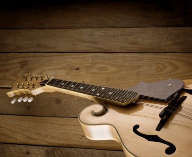 mandolin on wooden slats clipart