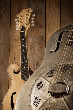bluegrass müzik