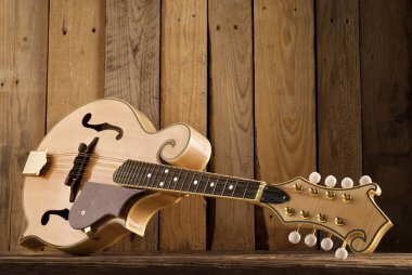 mandolin lying on wood clipart