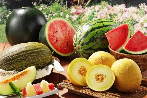 Melons and watermwlons — Stock Photo, Image