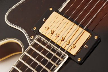 elektro gitar almak