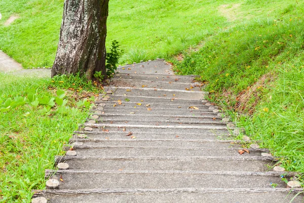 Concrete stairs to park — Stock Photo, Image