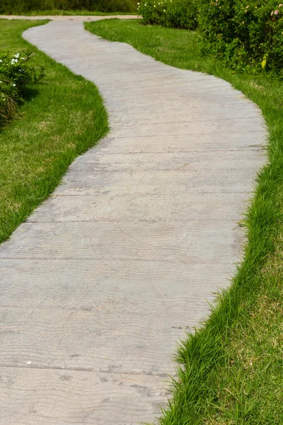 Concrete walkway and grass — Stock Photo, Image