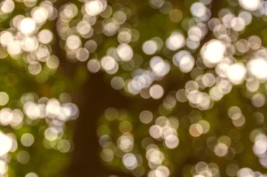 Yeşil bokeh arka plan