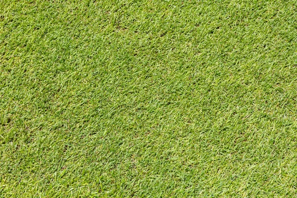Groen gras, voetbalveld. — Stockfoto