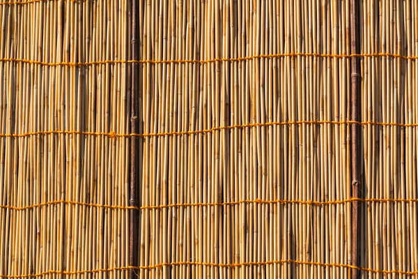 Textura de bambu — Fotografia de Stock