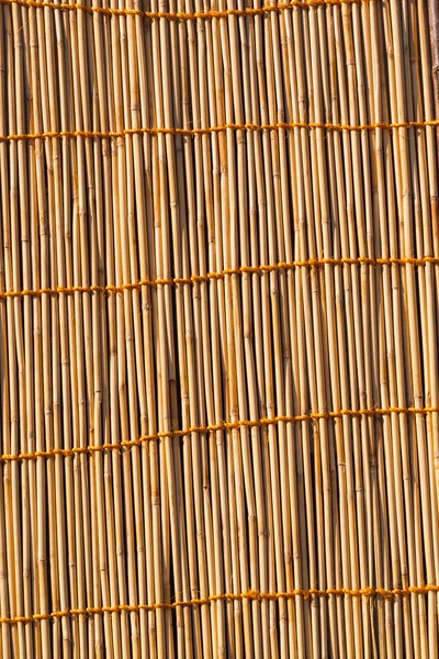 Bamboo Texture — Stock Photo, Image