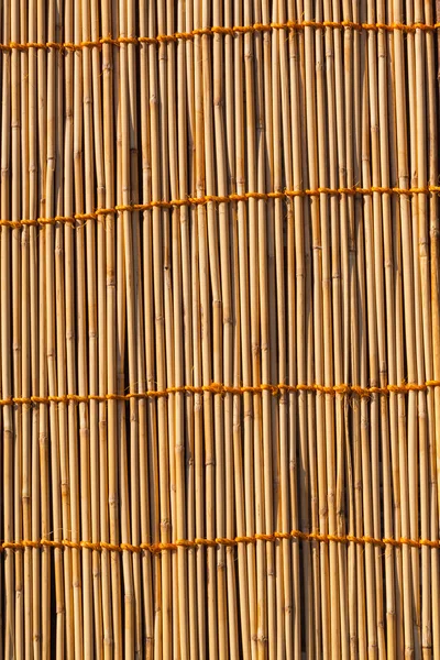Bamboo Texture — Stock Photo, Image