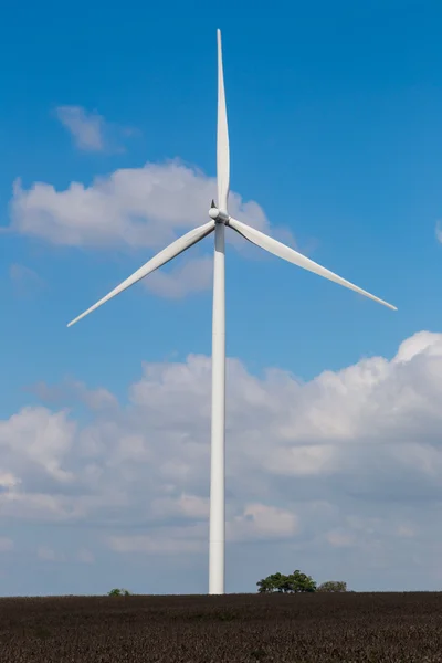 Turbina eolica su campo di mais — Foto Stock