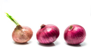 Filiz ile üç soğan