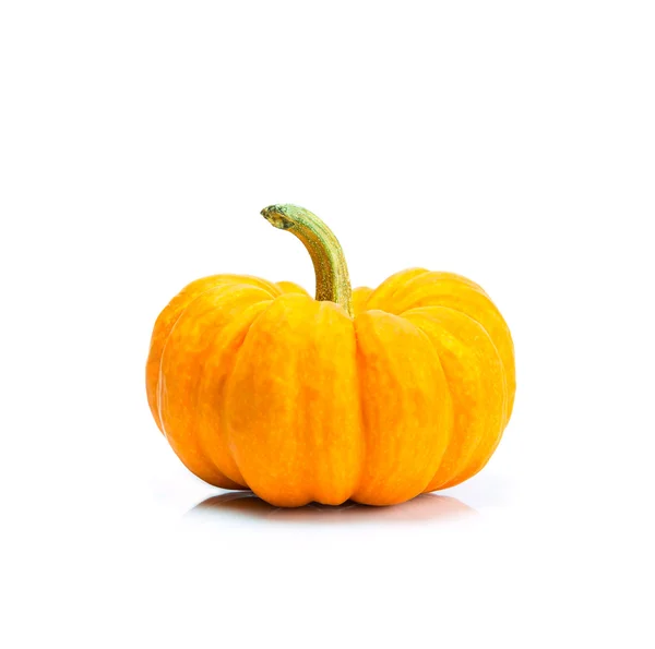 Miniature orange pumpkin on white — Stock Photo, Image
