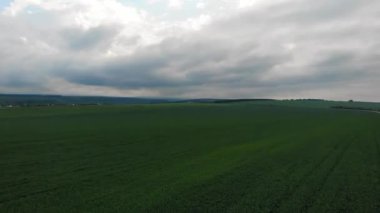Uzakta panoramik manzaralı yeşil tarım-endüstriyel tarlalar üzerinde uçan hava
