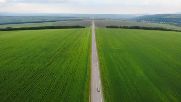 Hava aracı görüntüsü: tarımsal tarlalar ve yeşil kırsal alanlar arasında giden beyaz araba, aracı takip eden insansız hava aracı. — Stok video