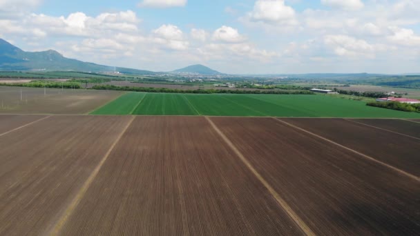 Antenn topp bild från vänster till höger bild av en grön och plöjd jordbruk majs fält. Vackert sommarlandskap av en bonde fält — Stockvideo