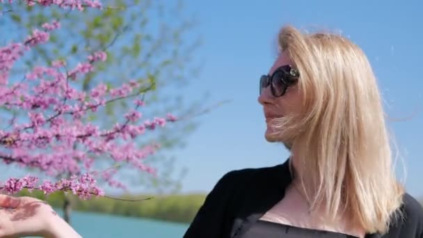 若い美しい女性が桜を賞賛しています。ピンクの木が咲く。選択的焦点 — ストック動画