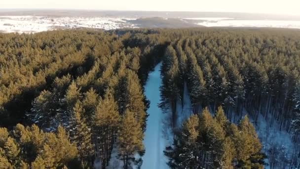 Aerial top visning af vinterveje blandt smukke granskov på solrig dag. Vinter eventyrvej i skov. – Stock-video