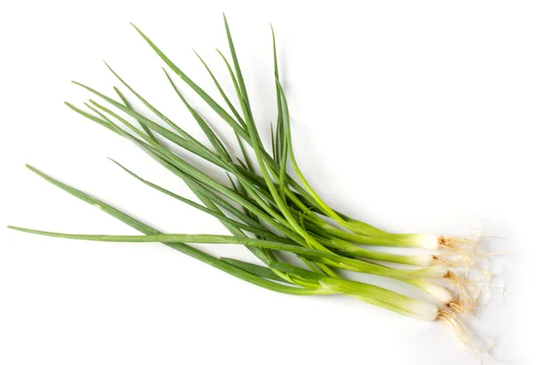 Spring Onion — Stock Photo, Image