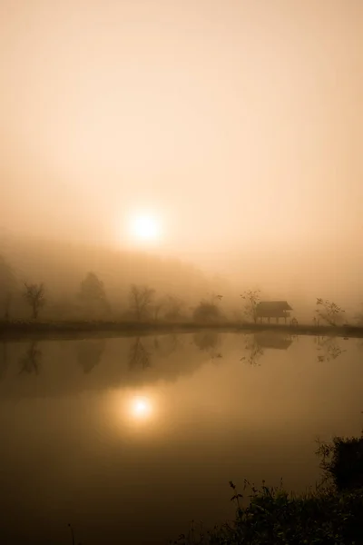 Nascer Sol Sobre Florestas Junto Piscina Névoa — Fotografia de Stock