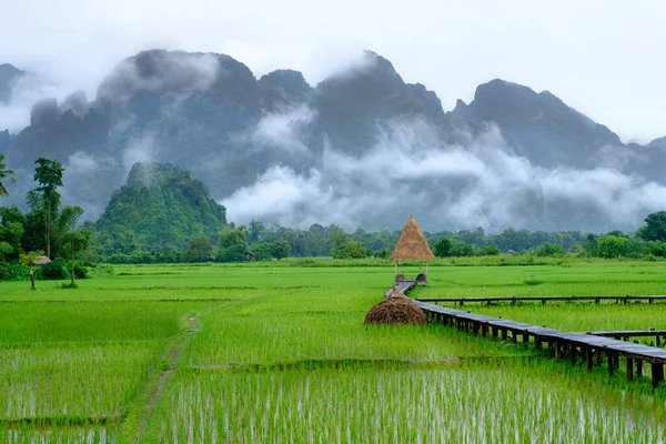 Pirinç Tarlası Arkasındaki Dağın Üzerinde Mist — Stok fotoğraf