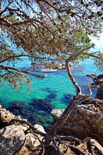 Costa Brava — Photo