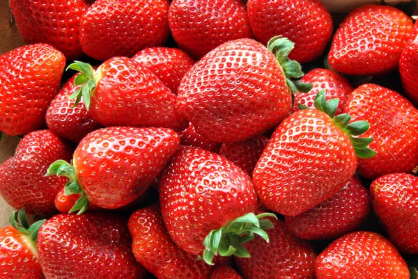 Erdbeeren — Stockfoto