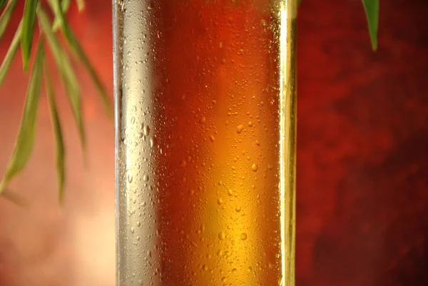 Macro de um copo de cerveja — Fotografia de Stock