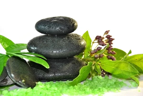 Special stones massage — Stock Photo, Image
