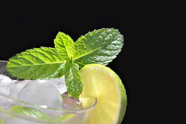 Copa de cóctel Mojito — Foto de Stock