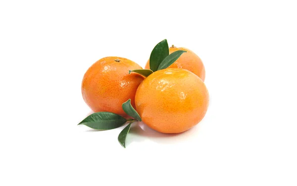 Tre mandarini isolati su fondo bianco — Foto Stock