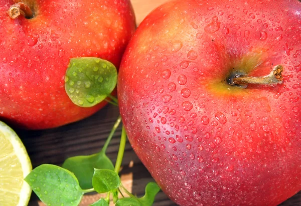 Apple fruit — Stock Photo, Image