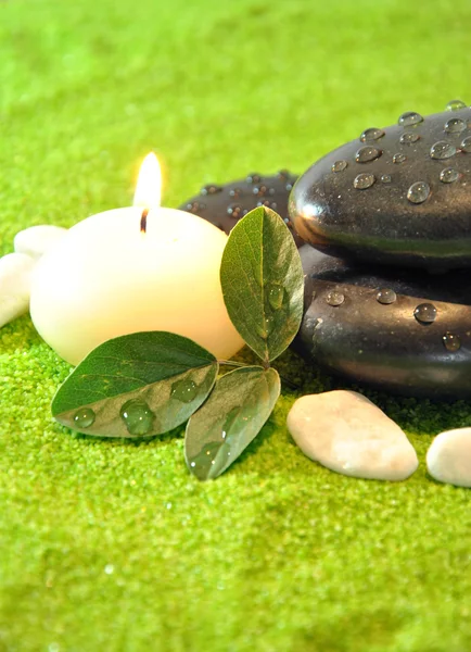 Özel taşlar bitkilerle tedavi masaj — Stok fotoğraf