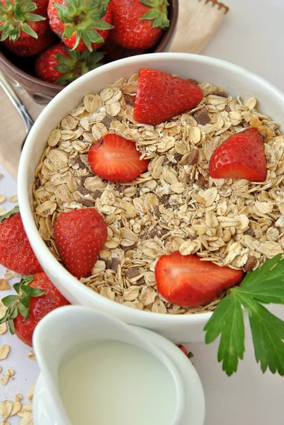 Schüssel Müsli mit Milch und Erdbeeren — Stockfoto