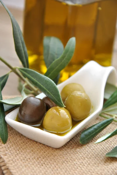 Olives vertes et noires — Photo