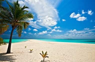 Infinity tropical beach