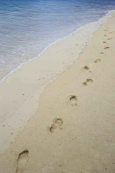 Footstep on the sand — Stock Photo, Image