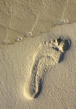 mercan kum plaj n51 üzerinde ayak sesi