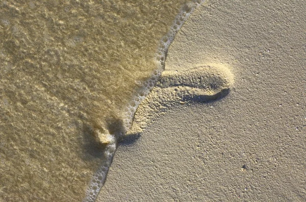 Footstep on the coral sandy beach N52 — Stock Photo, Image