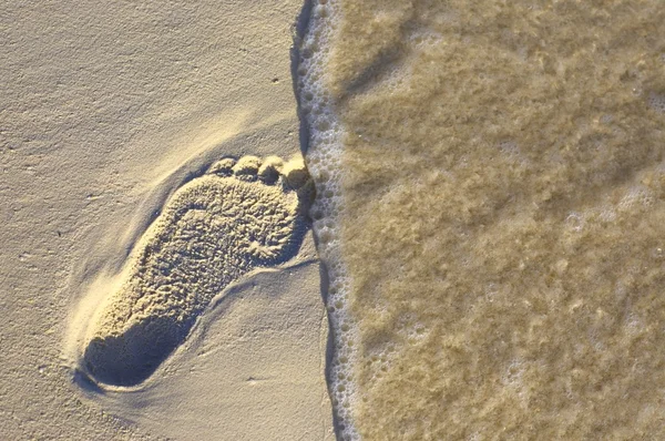 Footstep on the coral sandy beach N56 — Stock Photo, Image