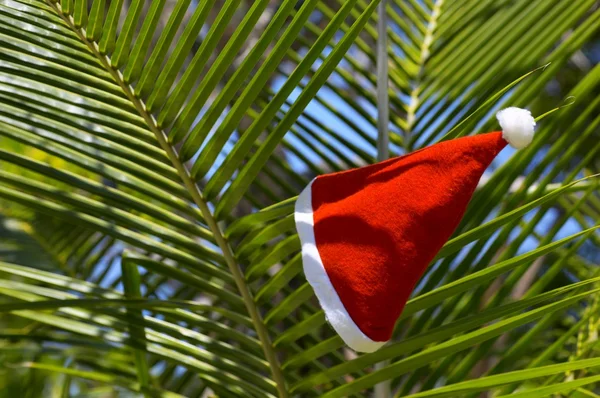 bir plajda yılbaşı şapkası