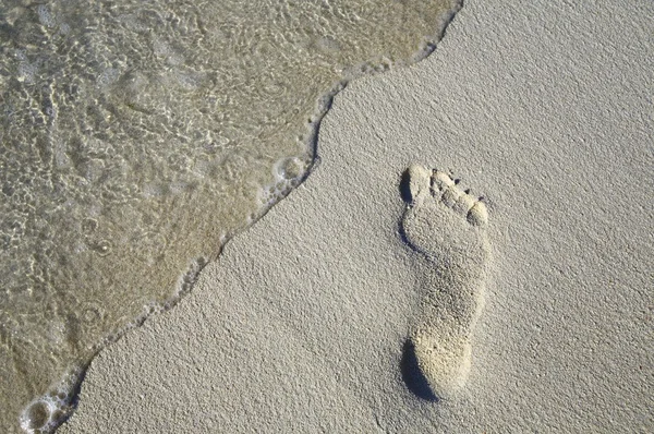 4 bir plajda bir ayak sesi — Stok fotoğraf